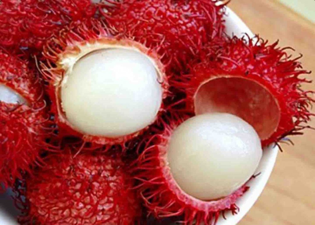 rambutan parakan about tangerang rambutan parakan about tangerang